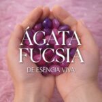 AGATAFUCSIA_1