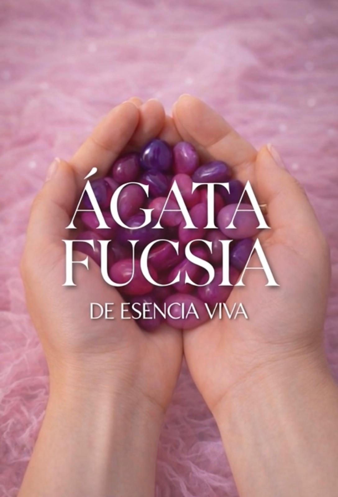 AGATAFUCSIA_1