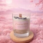 LimpiezaYPurificacion1