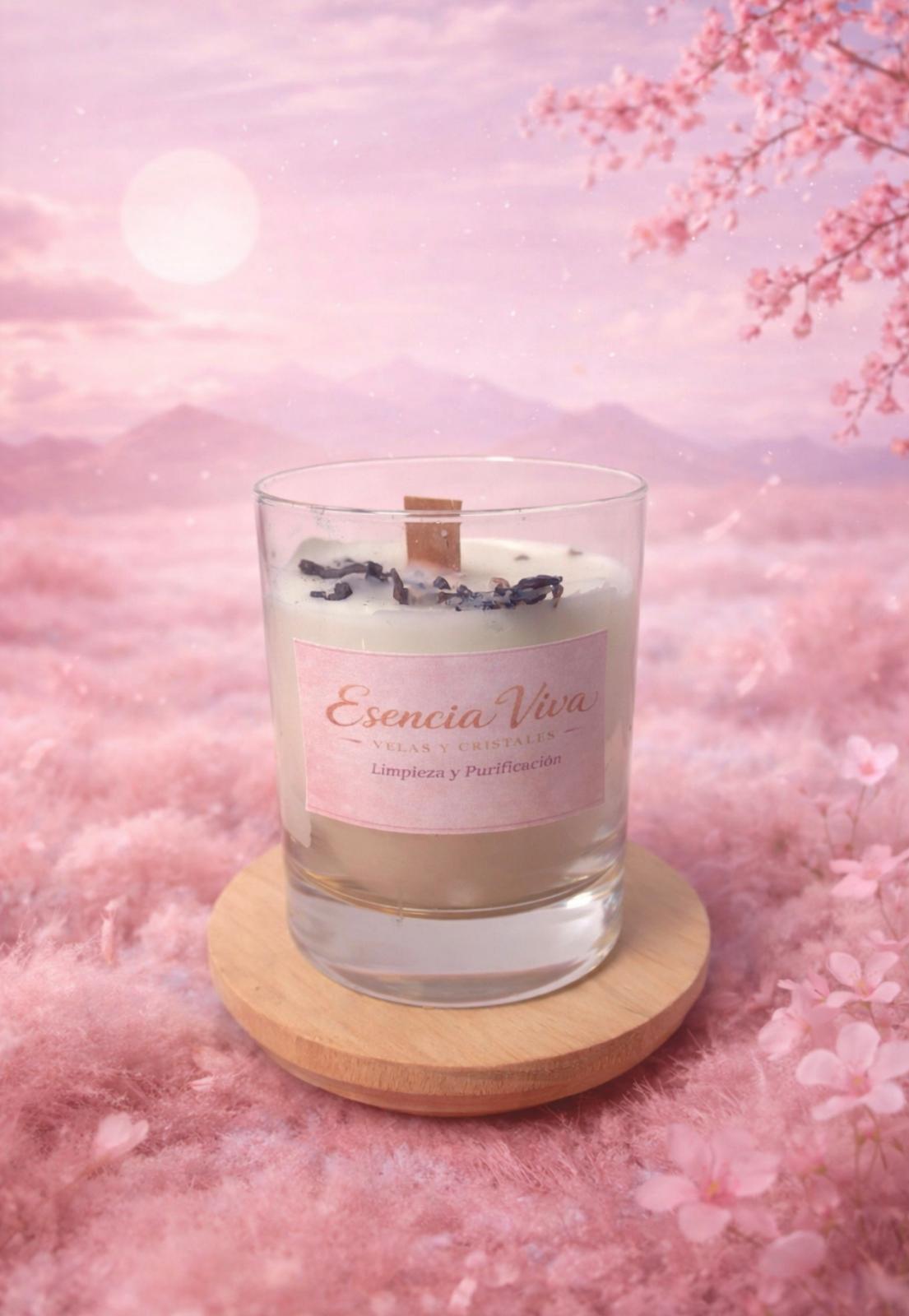 LimpiezaYPurificacion1